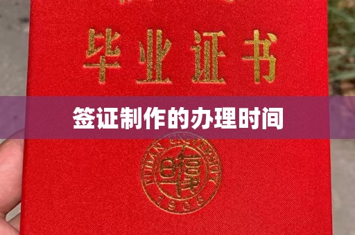 盐边签证制作的办理时间